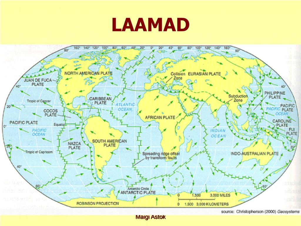 Just see laam on maailma suurim.
