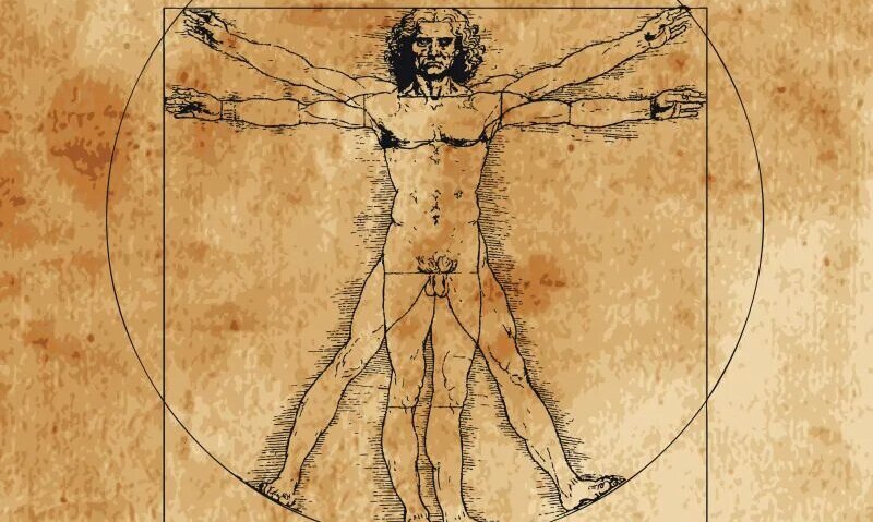 Leonardo da Vinci kuulus joonistus Vitruvian Man oli selle valdkonna uurimiseks. 