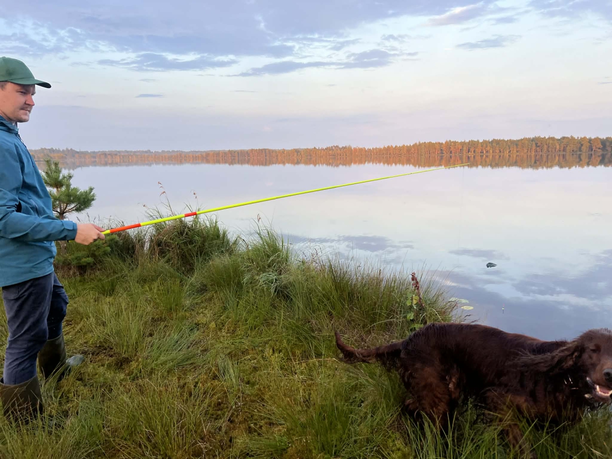 Mida tegi Theodor Pauligis tööülesandena lisaks oma esialgsetele ülesannetele?