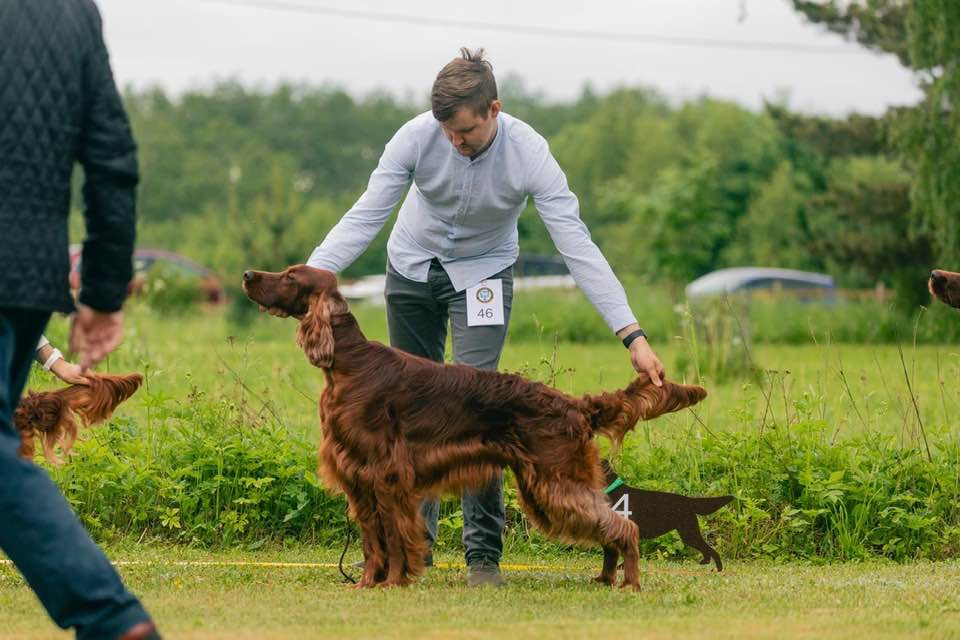 Aga mis sporti harrastab Theodor kõige rohkem kodus teha (pilt ei anna vihjet)?